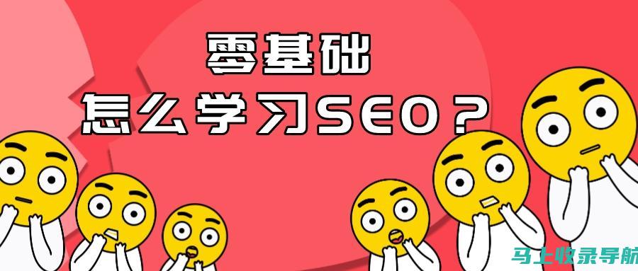 SEO自学宝典：从新手起步到精通的进阶指南